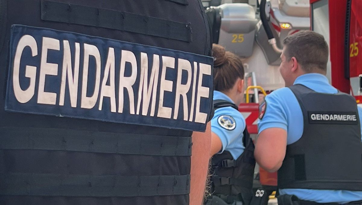 Neuf individus arrêtés après la défaite d’un réseau de drogue vaut 1,3 million par an en Haute-Savoie
