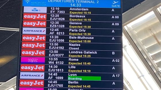 Chaos total à l’aéroport de Nice : une défaillance technique met en lumière les failles de la gestion française