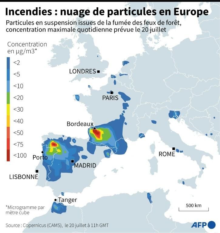 Incendies en Europe : un bilan catastrophique et une crise climatique exacerbée