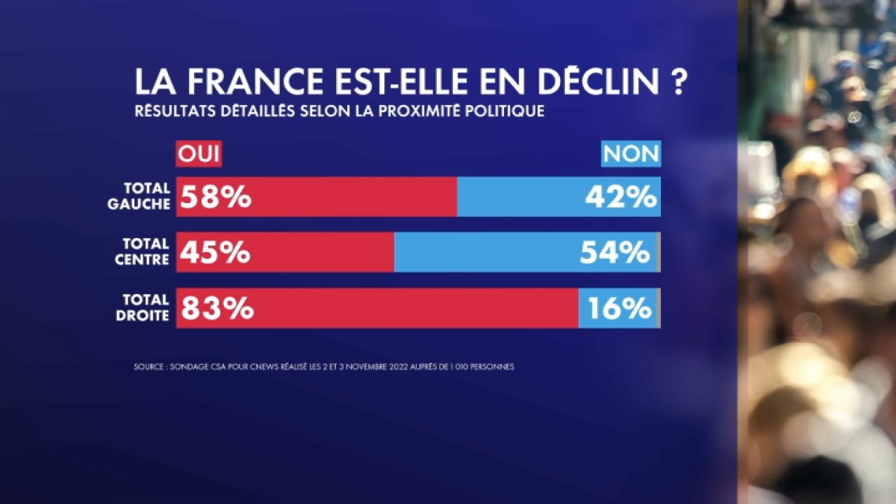 La France en déclin : une République des nuisibles